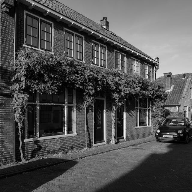 Charmant Huisje Met Klimop In Zwart Wit